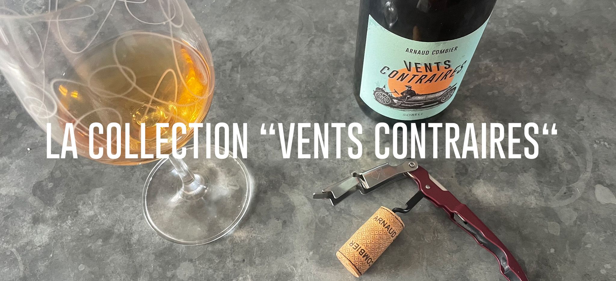 Vent contraire Arnaud Combier