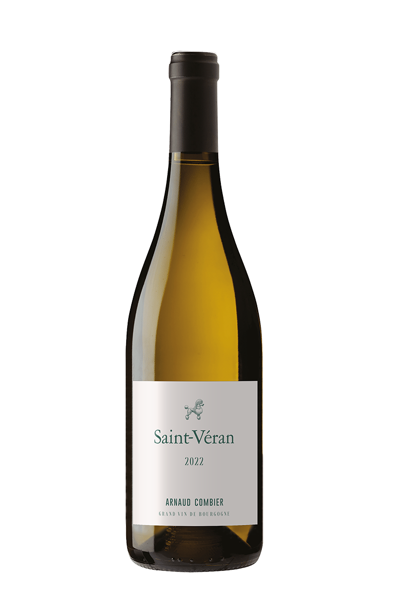 Rouge VILLA DES ANGES by Jeff Carrel